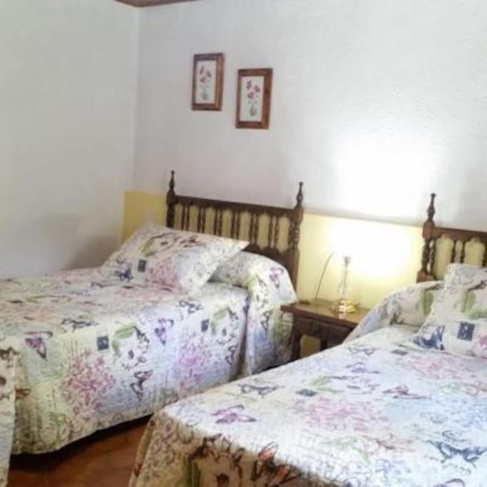 Casa Rural Barangua En El Pirineo Aragones Santa Cruz de la Serós Exteriér fotografie